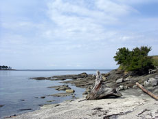 The Beach at East Point